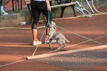 Lena Greiner 265 - Ostsee Cup